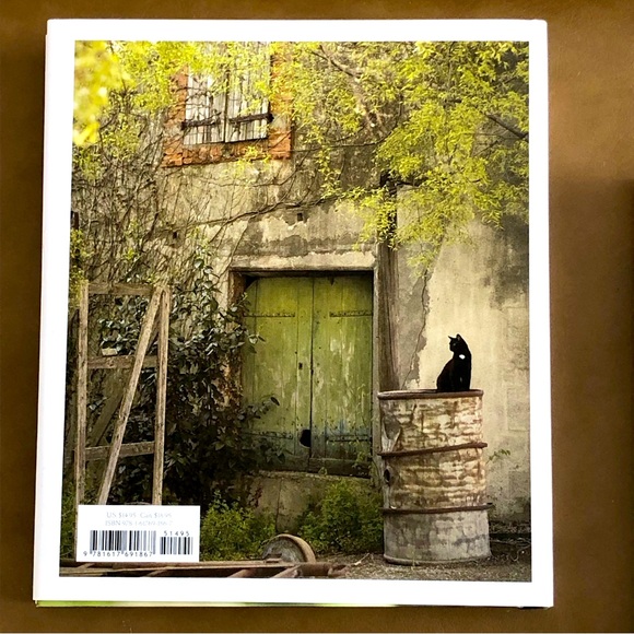 The French Cat and Cat in Sweaters - Picture 5 of 5